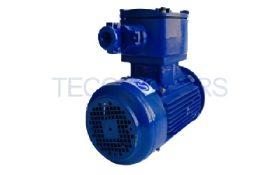 TECO ExdIIBT4 Explosion-Proof Motor - Flameproof Three-Phase Asynchronous Motor (Models: TEBY (GB3/IE3), TEB4 (GB2/IE4), TEB5 (GB1/IE5))