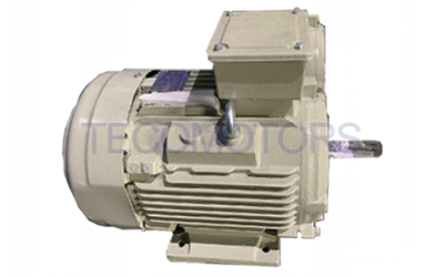 Force-Cooled Variable-Frequency Dust Explosion-Proof Motor-TEDV3(EVEVXQ/EVVVXQ)