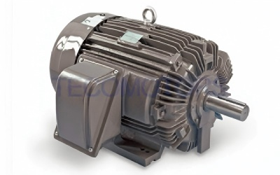 UL-Certified Dust Explosion-Proof Variable-Frequency Motor