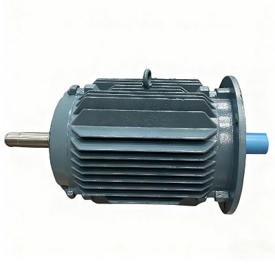 Electric Motor Sourcing China