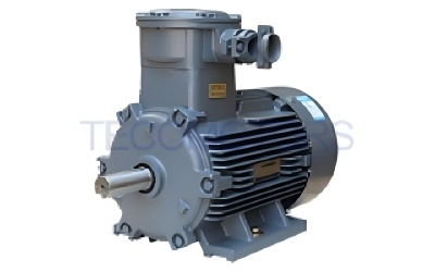 teco exdiict4 explosion proof motor